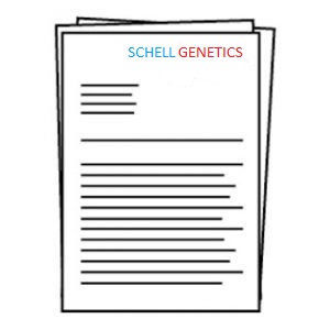 After completion of the genetic diagnostics, you will receive a Medical Genetics Report with the most important topics of the consultation and the relevant findings, including all lab results. 